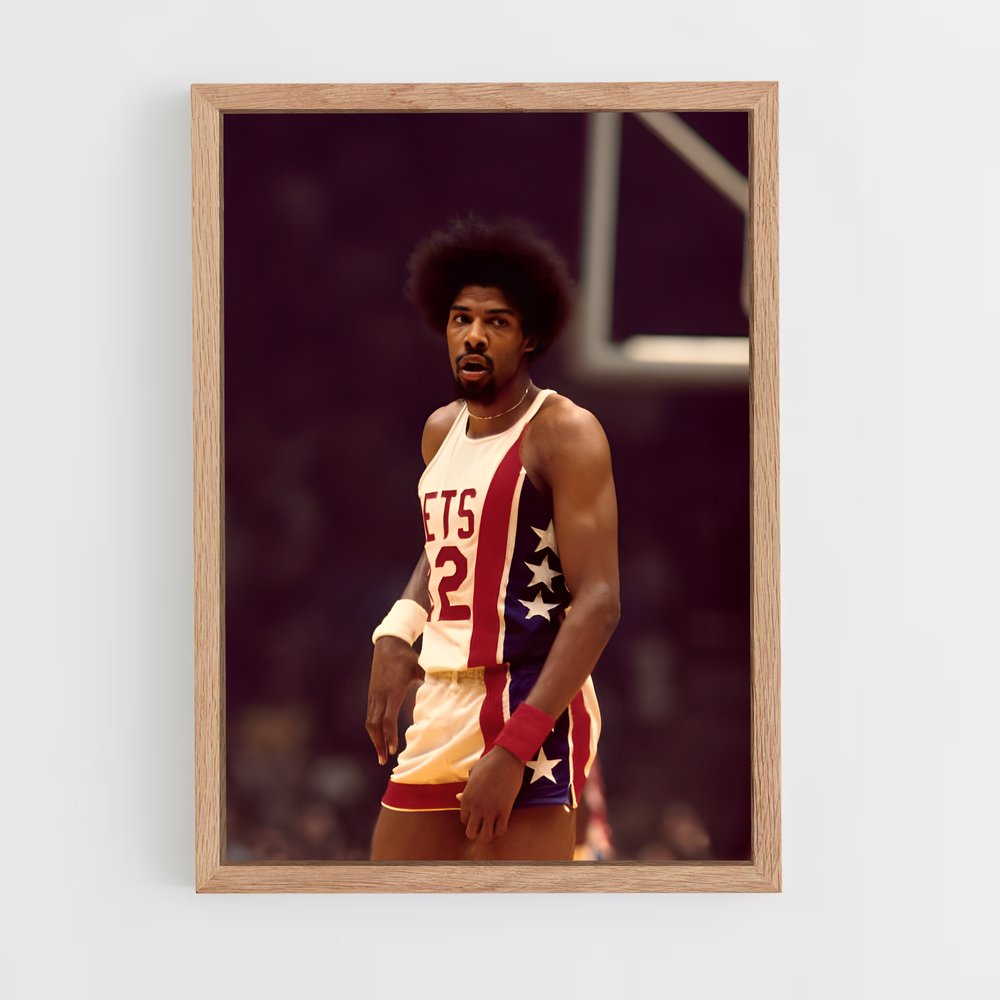 Poster Julius erving parquets – affiche Basketball (vue 4)